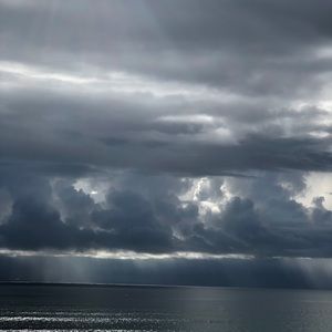 Meet your Posher, Shane